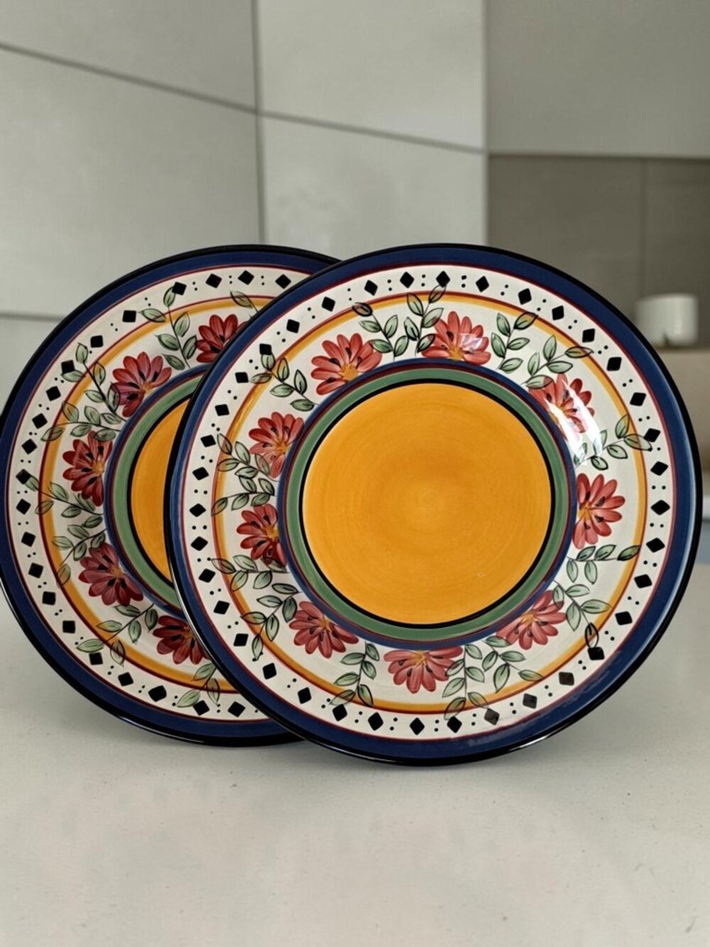 Pier1 Alexandria 9 in. Salad Plates Set of 2 Hand-Painted Earthenware